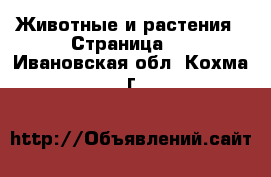  Животные и растения - Страница 2 . Ивановская обл.,Кохма г.